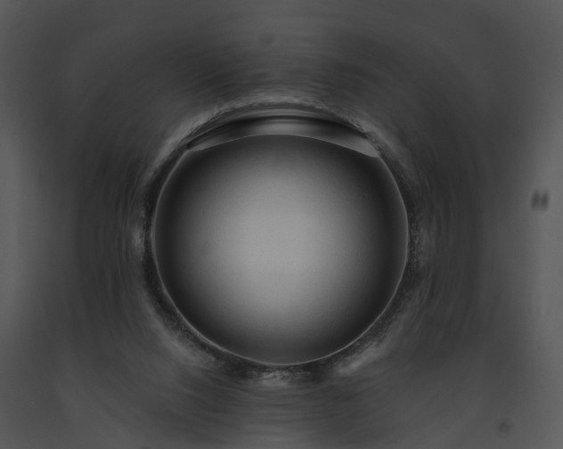 X0000091690064200708301548