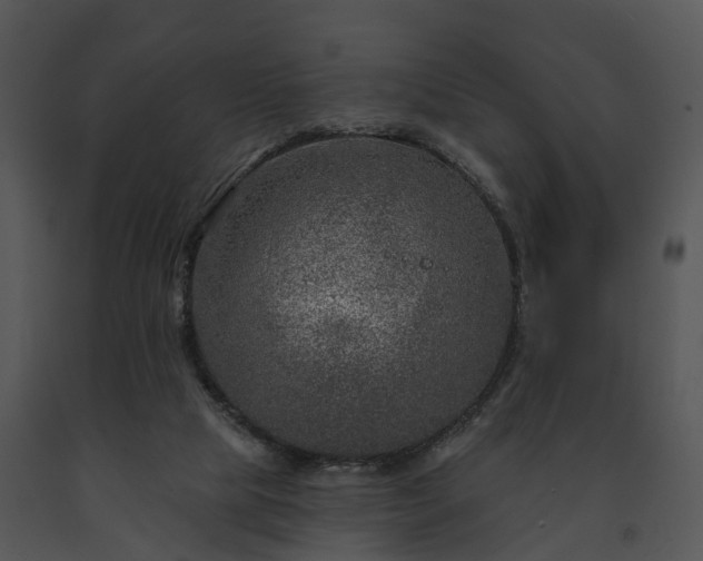 X0000091690065200708301548