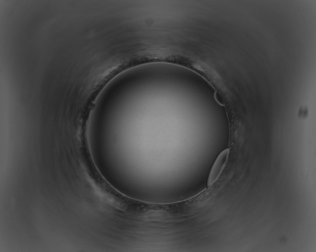 X0000091690066200708301548
