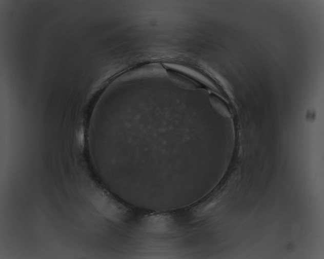 X0000091690067200708301548