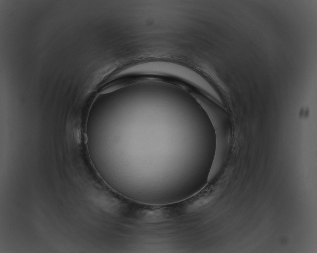 X0000091690068200708301548