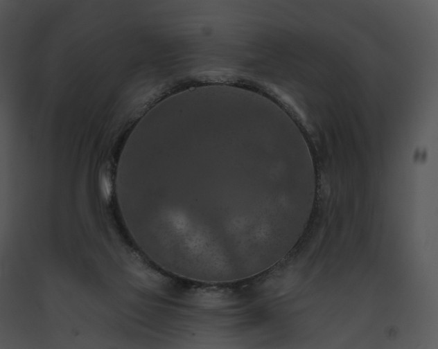 X0000091690069200708301548