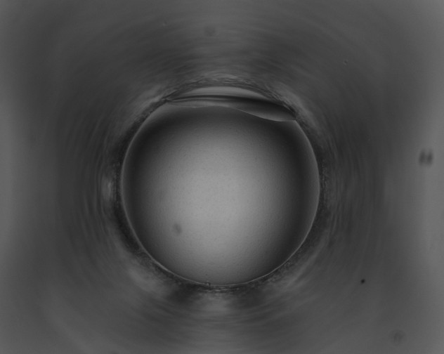 X0000091690071200708301548