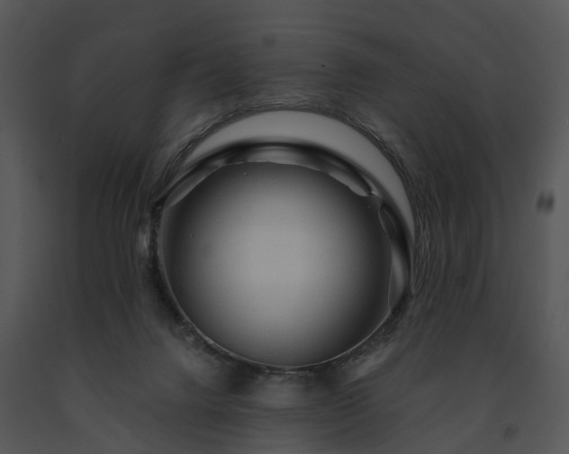 X0000091690072200708301548