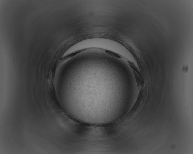 X0000091690073200708301548
