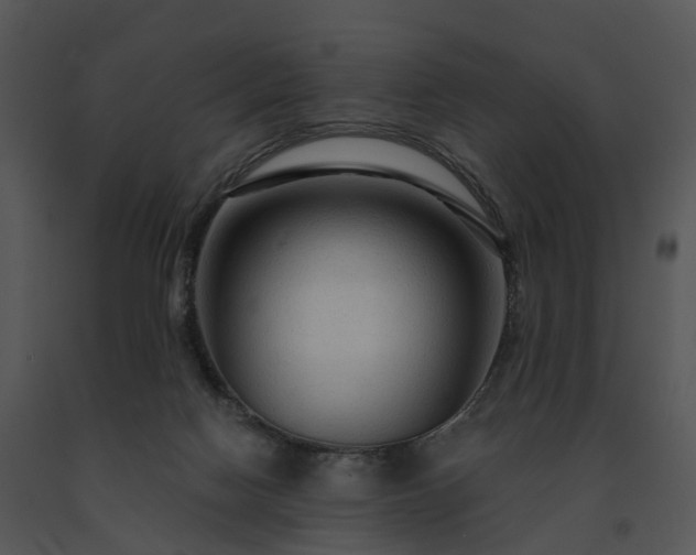X0000091690074200708301548