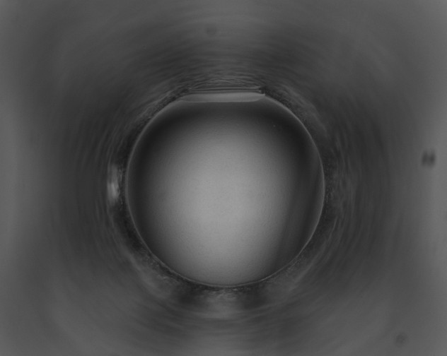 X0000091690075200708301548