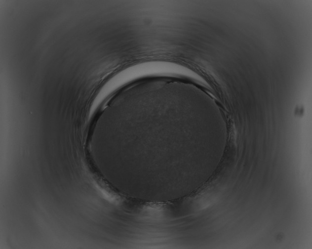 X0000091690076200708301548