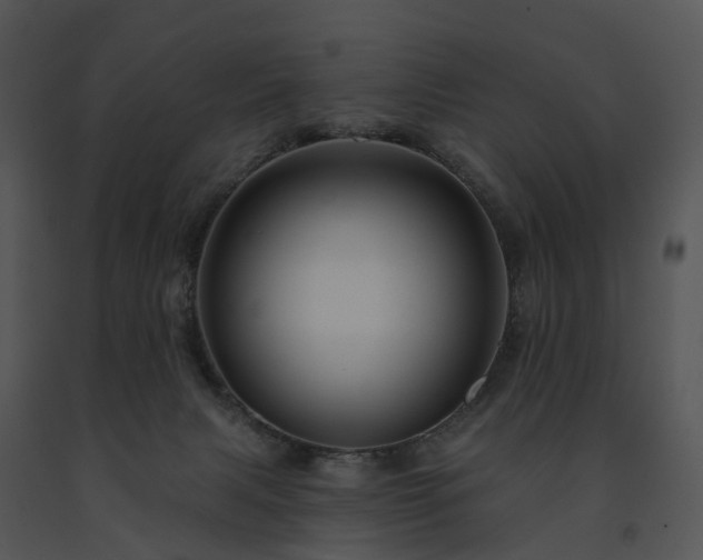 X0000091690079200708301549