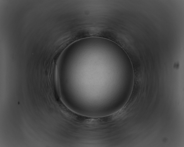 X0000091690082200708301549