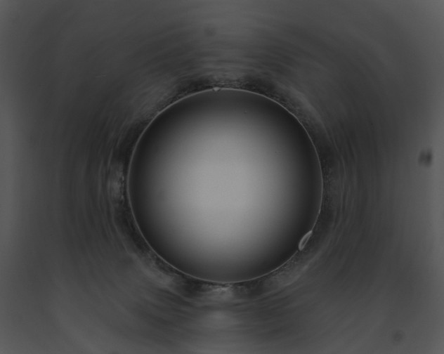 X0000091690083200708301549