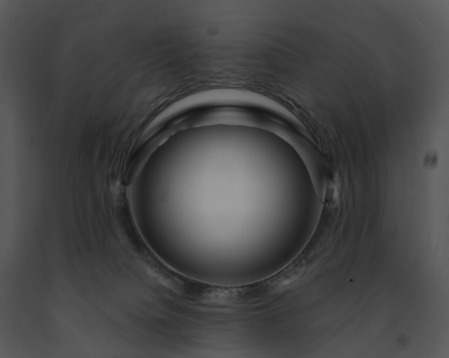 X0000091690084200708301549