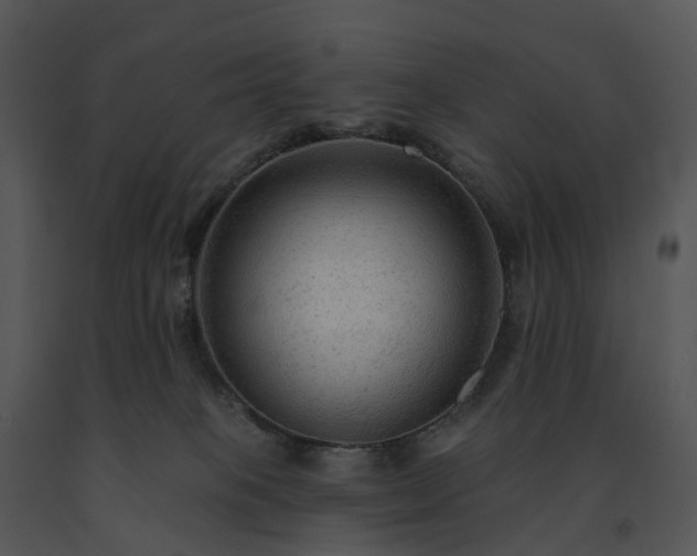 X0000091690085200708301549