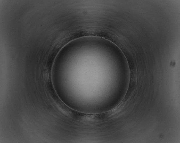 X0000091690086200708301549