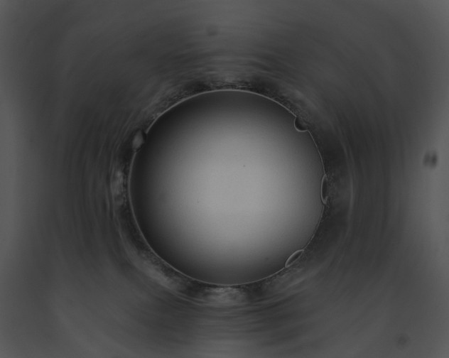 X0000091690087200708301549