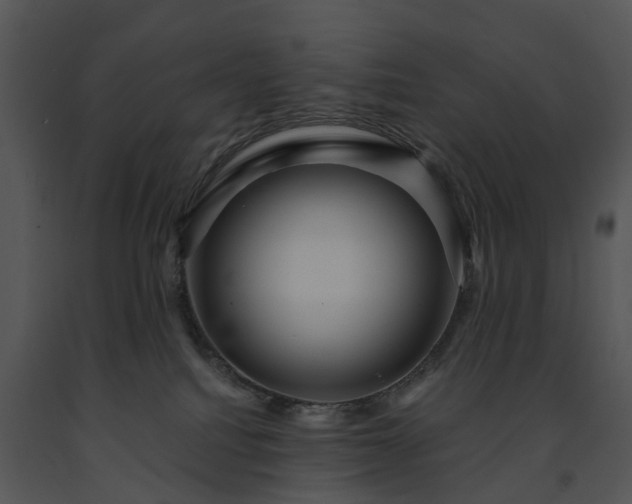 X0000091690088200708301549