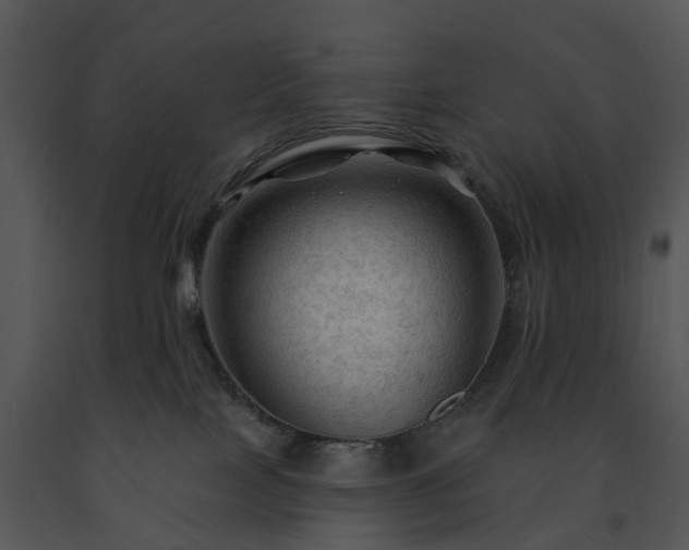 X0000091690089200708301549