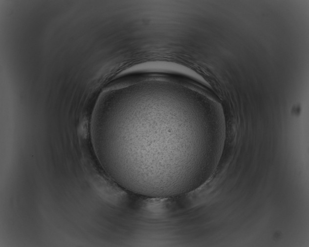 X0000091690090200708301549