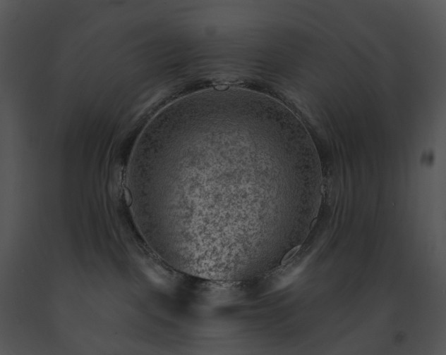 X0000091690093200708301549