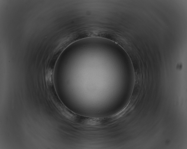X0000091690094200708301549