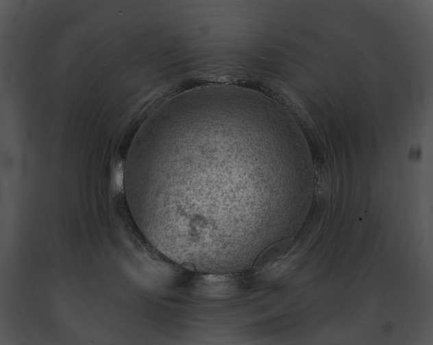 X0000091690095200708301549