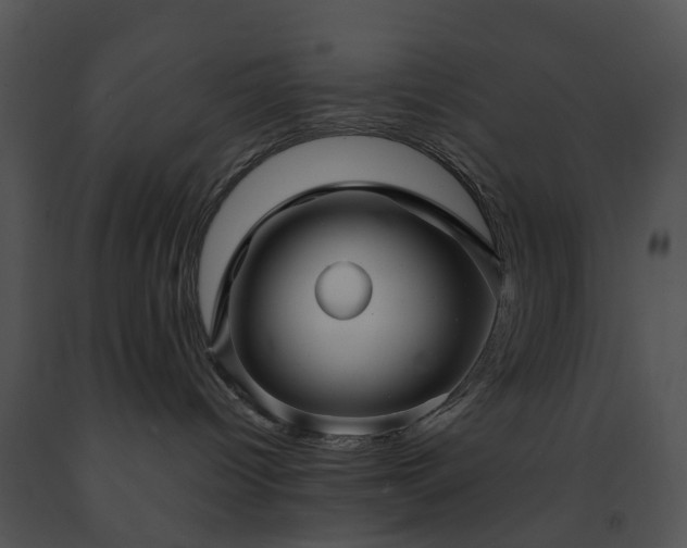 X0000091690096200708301549