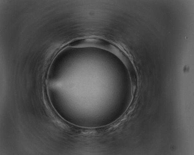 X0000091690097200708301548