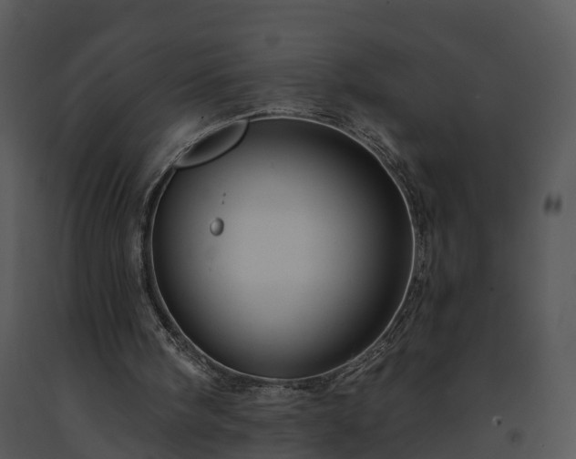 X0000091690098200708301548