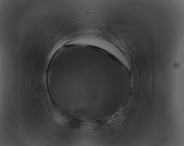 X0000091690099200708301548
