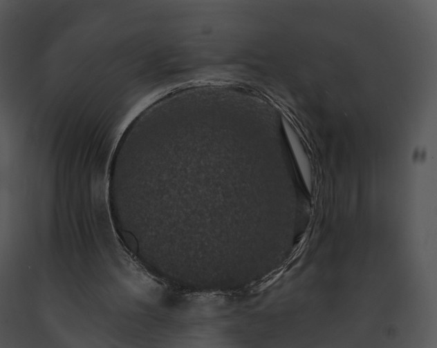 X0000091690100200708301548