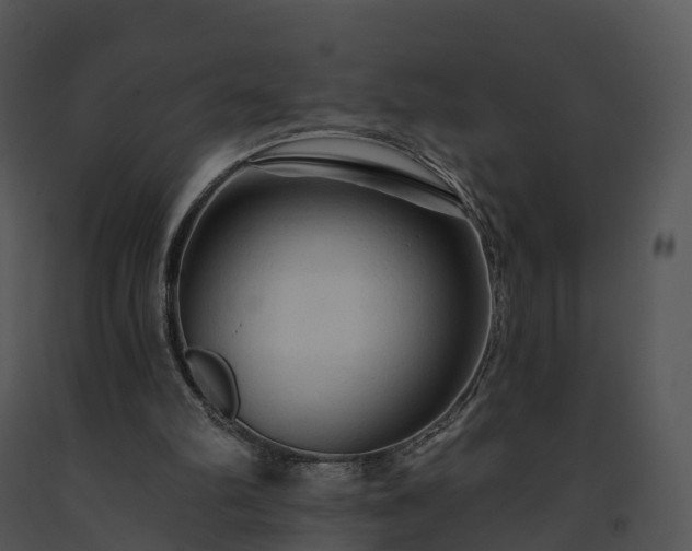 X0000091690102200708301548