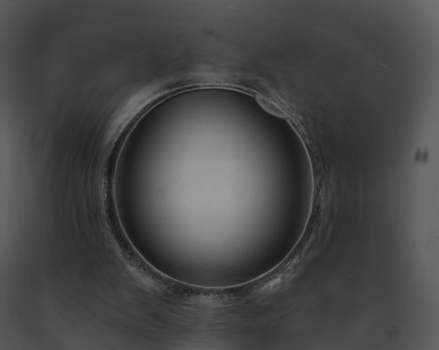 X0000091690103200708301548