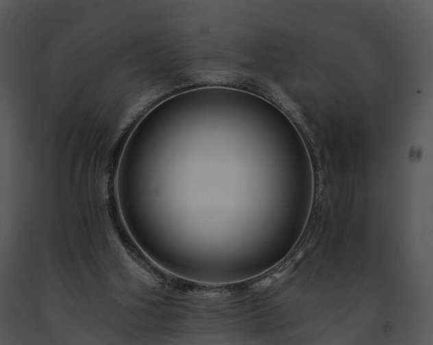 X0000091690106200708301548