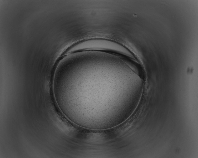 X0000091690107200708301548