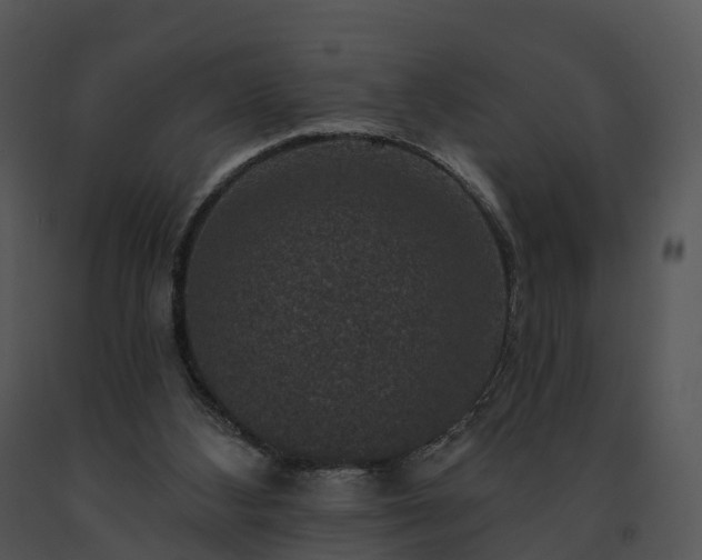 X0000091690108200708301548