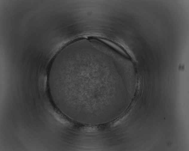 X0000091690110200708301548