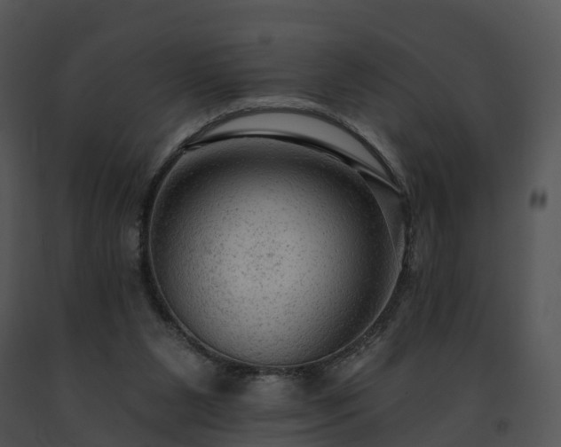X0000091690111200708301548