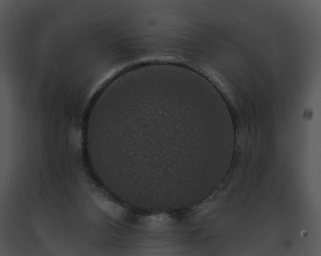 X0000091690112200708301548