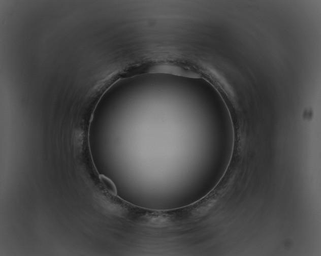 X0000091690113200708301548