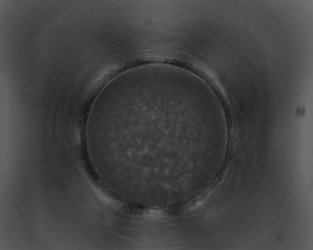 X0000091690114200708301548