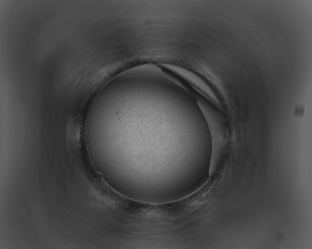 X0000091690115200708301548