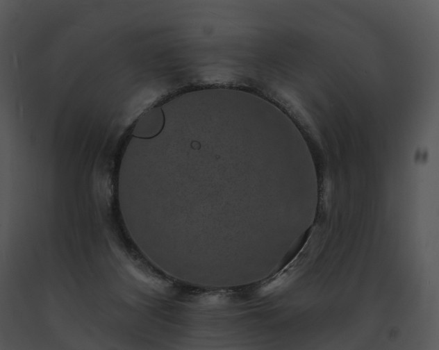 X0000091690116200708301548