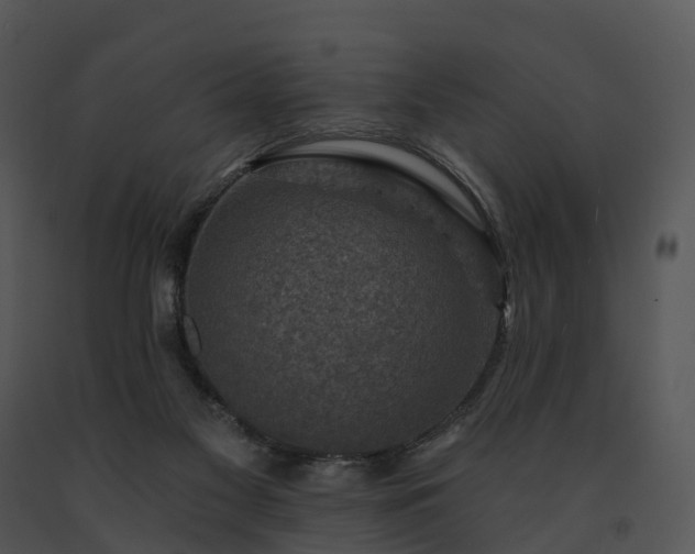 X0000091690117200708301548