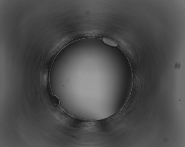 X0000091690118200708301548