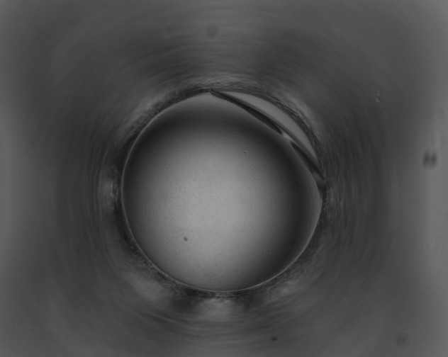 X0000091690119200708301548