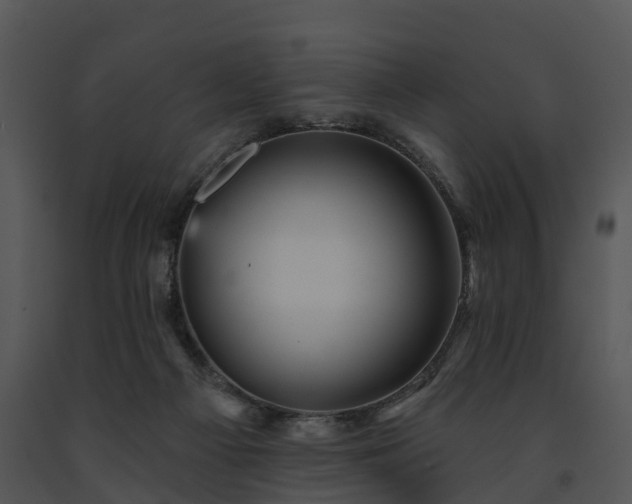 X0000091690121200708301548