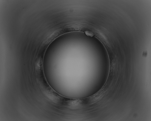 X0000091690122200708301548