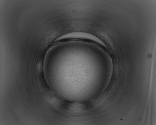 X0000091690123200708301548