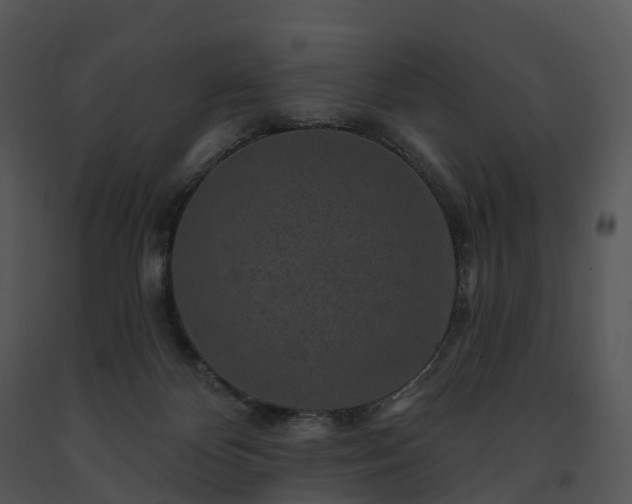 X0000091690124200708301548