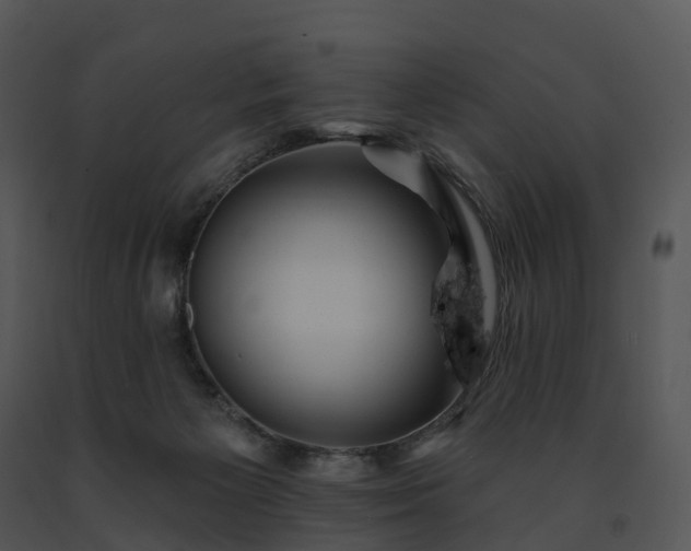 X0000091690125200708301548